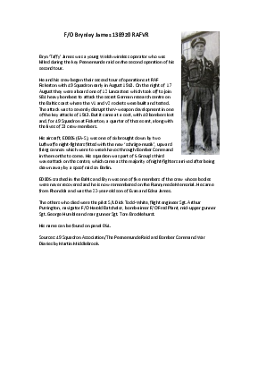 A preview of a PDF biography for James, Brynley